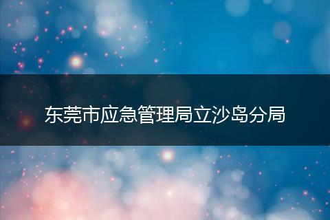 东莞市应急管理局立沙岛分局