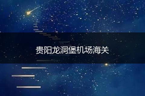 贵阳龙洞堡机场海关