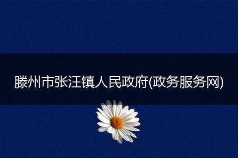滕州市张汪镇人民政府(政务服务网)