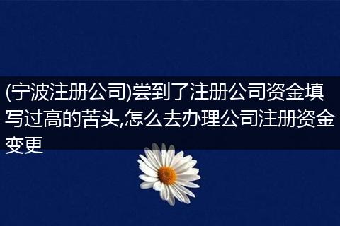 (宁波注册公司)尝到了注册公司资金填写过高的苦头,怎么去办理公司注册资金变更