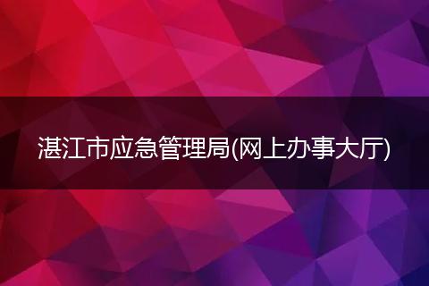 湛江市应急管理局(网上办事大厅)
