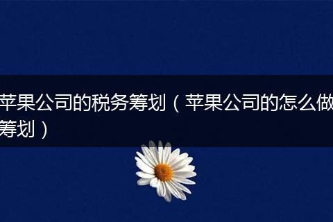 苹果公司的税务筹划(苹果公司的怎么做筹划)