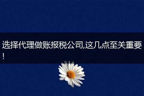 选择代理做账报税公司,这几点至关重要!