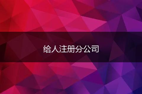 给人注册分公司