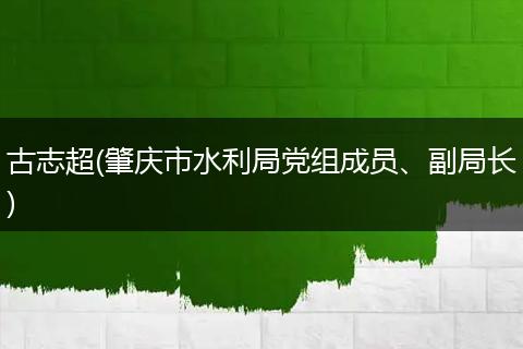 古志超(肇庆市水利局党组成员、副局长)