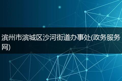 滨州市滨城区沙河街道办事处(政务服务网)