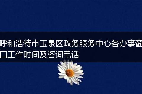 呼和浩特市玉泉区政务服务中心各办事窗口工作时间及咨询电话