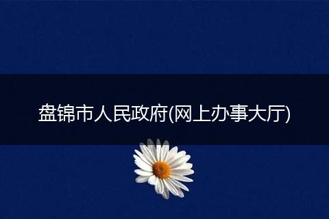 盘锦市人民政府(网上办事大厅)