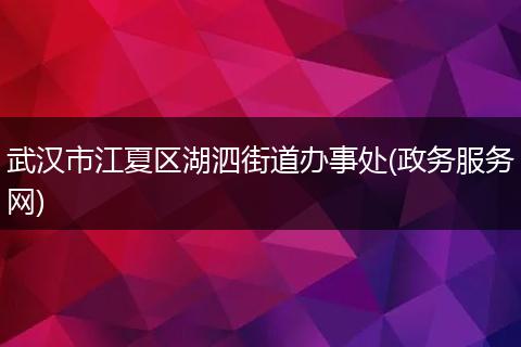 武汉市江夏区湖泗街道办事处(政务服务网)