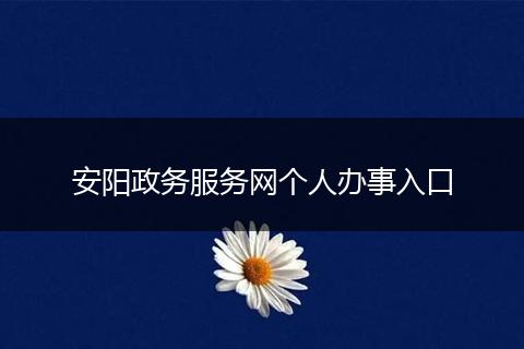 安阳政务服务网个人办事入口