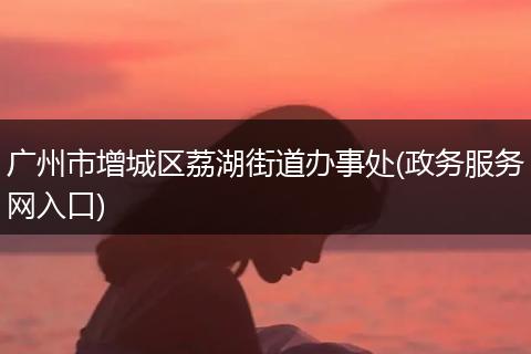广州市增城区荔湖街道办事处(政务服务网入口)