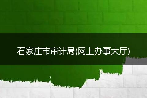 石家庄市审计局(网上办事大厅)