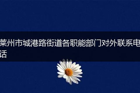 莱州市城港路街道各职能部门对外联系电话