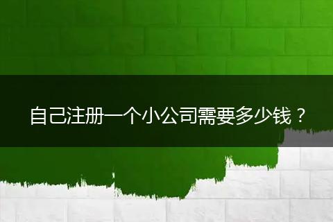 自己注册一个小公司需要多少钱?