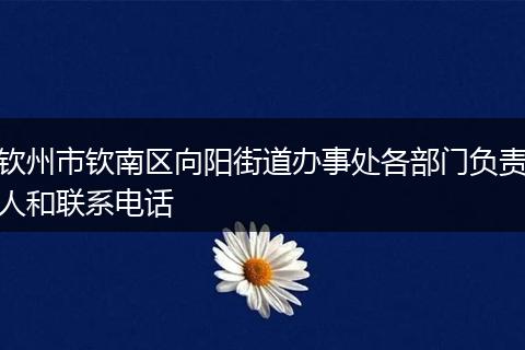 钦州市钦南区向阳街道办事处各部门负责人和联系电话