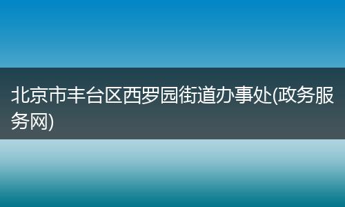 北京市丰台区西罗园街道办事处(政务服务网)