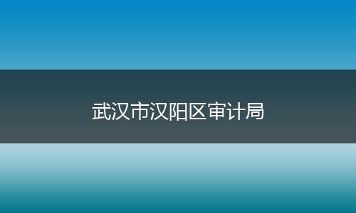 武汉市汉阳区审计局
