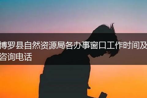 博罗县自然资源局各办事窗口工作时间及咨询电话