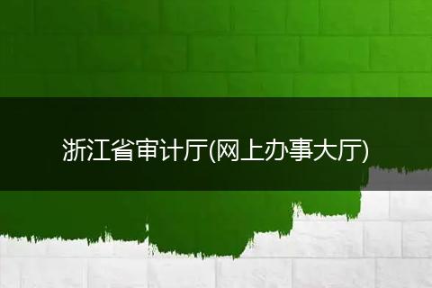 浙江省审计厅(网上办事大厅)
