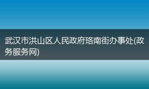 武汉市洪山区人民政府珞南街办事处(政务服务网)