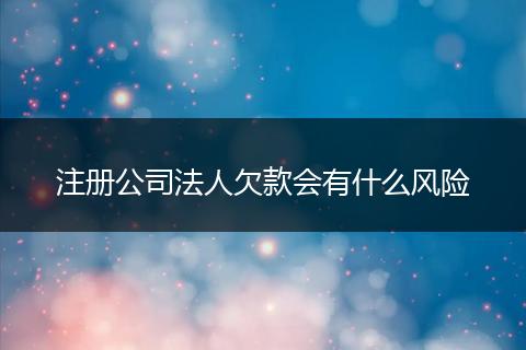 注册公司法人欠款会有什么风险