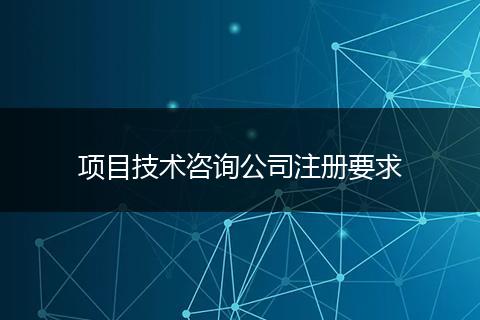 项目技术咨询公司注册要求