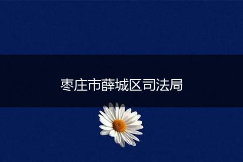 枣庄市薛城区司法局