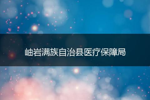 岫岩满族自治县医疗保障局