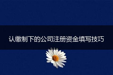 认缴制下的公司注册资金填写技巧