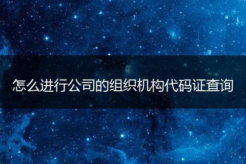 怎么进行公司的组织机构代码证查询