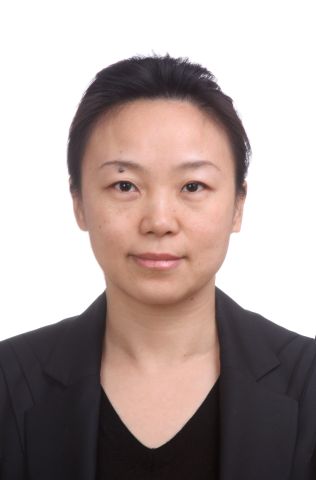 北京市朝阳区商务局(网上办事大厅)