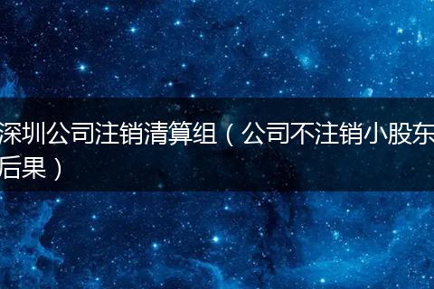 深圳公司注销清算组(公司不注销小股东后果)