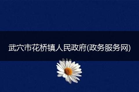 武穴市花桥镇人民政府(政务服务网)