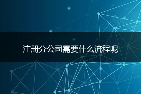 注册分公司需要什么流程呢
