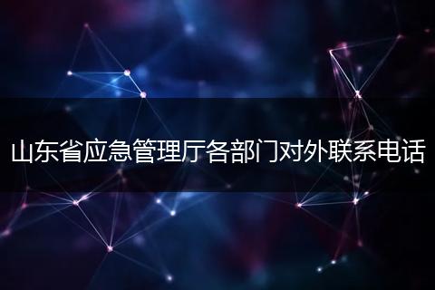 山东省应急管理厅各部门对外联系电话