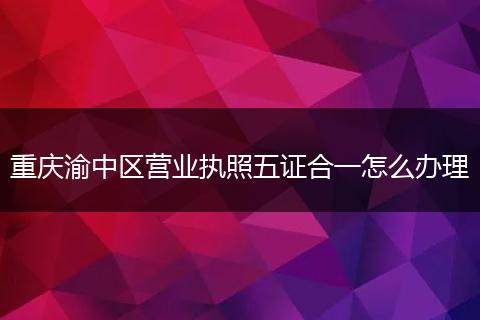 重庆渝中区营业执照五证合一怎么办理