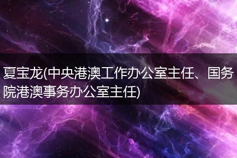 夏宝龙(中央港澳工作办公室主任、国务院港澳事务办公室主任)