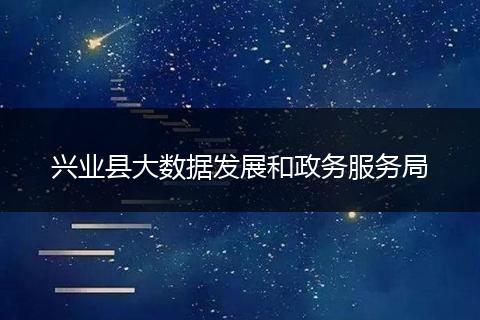 兴业县大数据发展和政务服务局