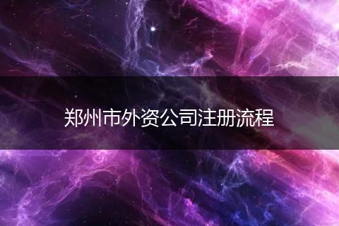 郑州市外资公司注册流程