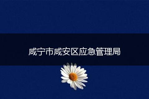 咸宁市咸安区应急管理局