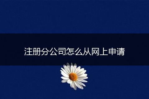注册分公司怎么从网上申请