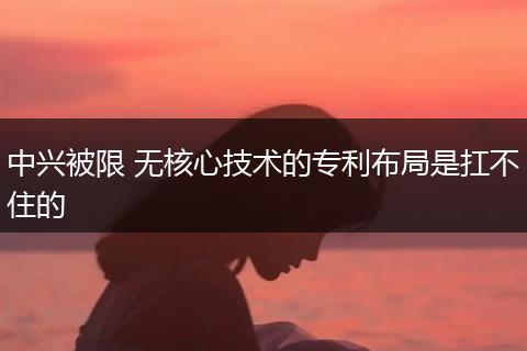 中兴被限 无核心技术的专利布局是扛不住的
