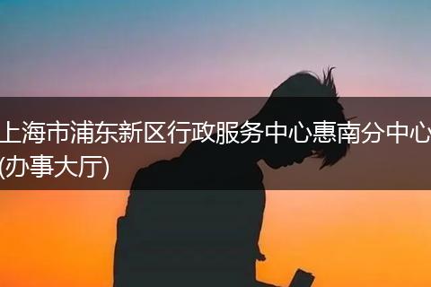 上海市浦东新区行政服务中心惠南分中心(办事大厅)