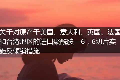 关于对原产于美国、意大利、英国、法国和台湾地区的进口聚酰胺—6,6切片实施反倾销措施
