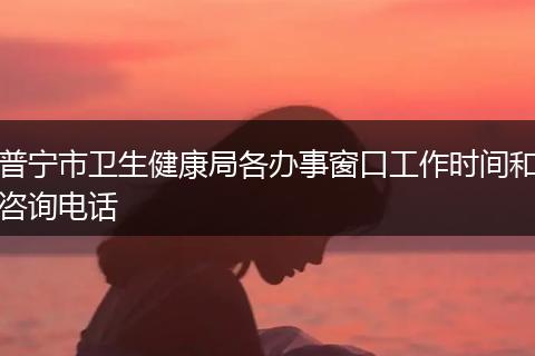普宁市卫生健康局各办事窗口工作时间和咨询电话