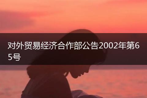 对外贸易经济合作部公告2002年第65号