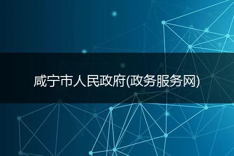 咸宁市人民政府(政务服务网)