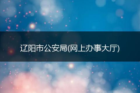 辽阳市公安局(网上办事大厅)