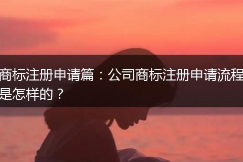 商标注册申请篇：公司商标注册申请流程是怎样的？