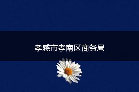 孝感市孝南区商务局